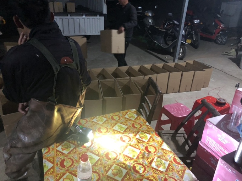 草鱼水花、四大家鱼水花、优质鱼苗、保质保量🔥🔥🔥