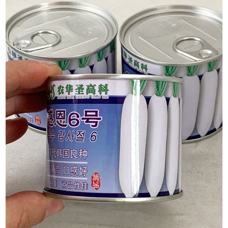 韩国进口白丽春长白萝卜种子耐抽苔春秋白萝卜种子原袋发货