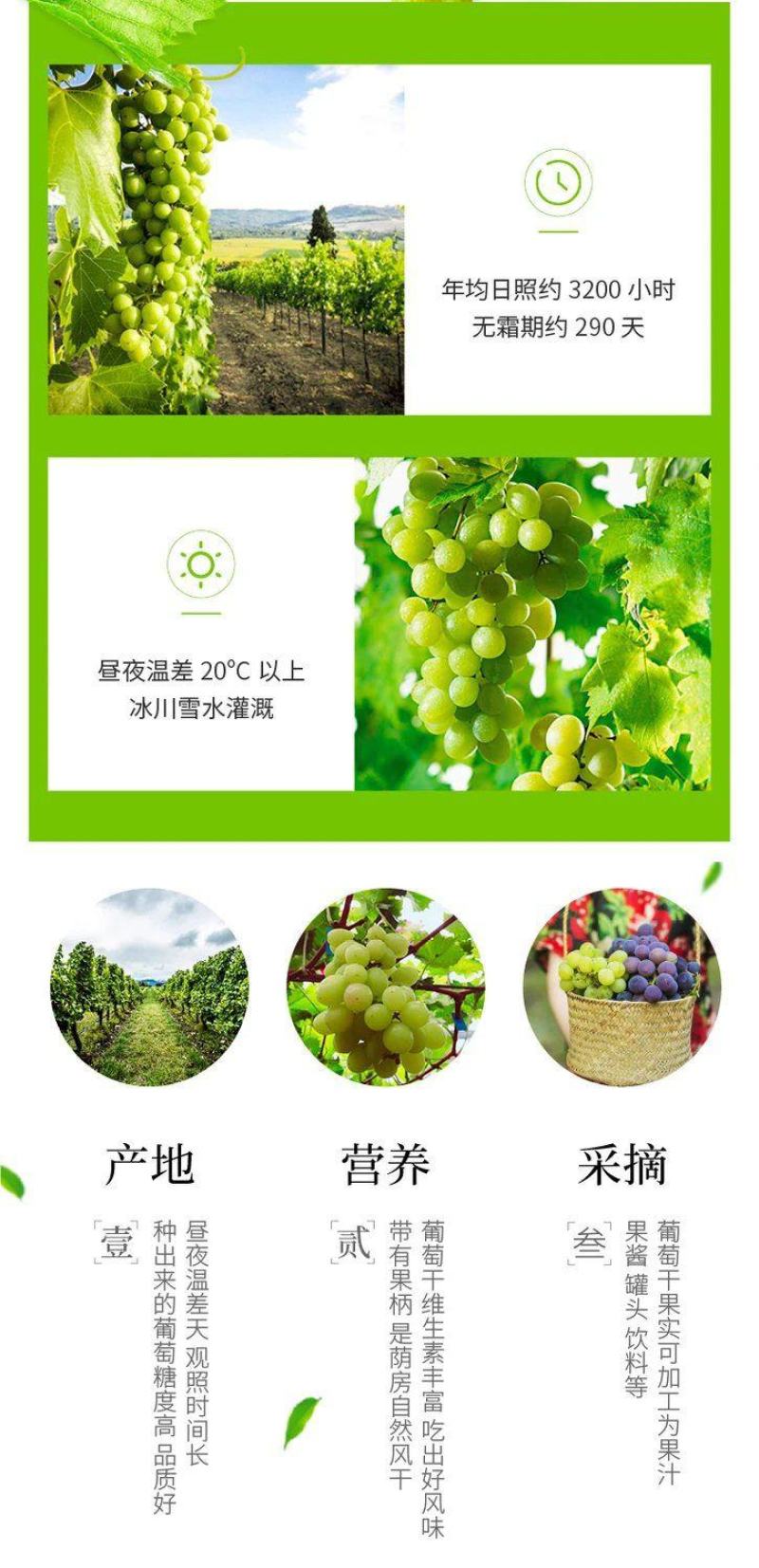 葡萄干独立包装散装新疆特产绿无核葡萄干免洗绿宝石葡萄干