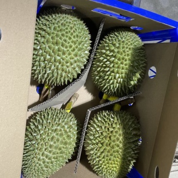 红沙土金枕头9kg2-3个505包邮