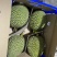红沙土金枕头9kg2-3个505包邮
