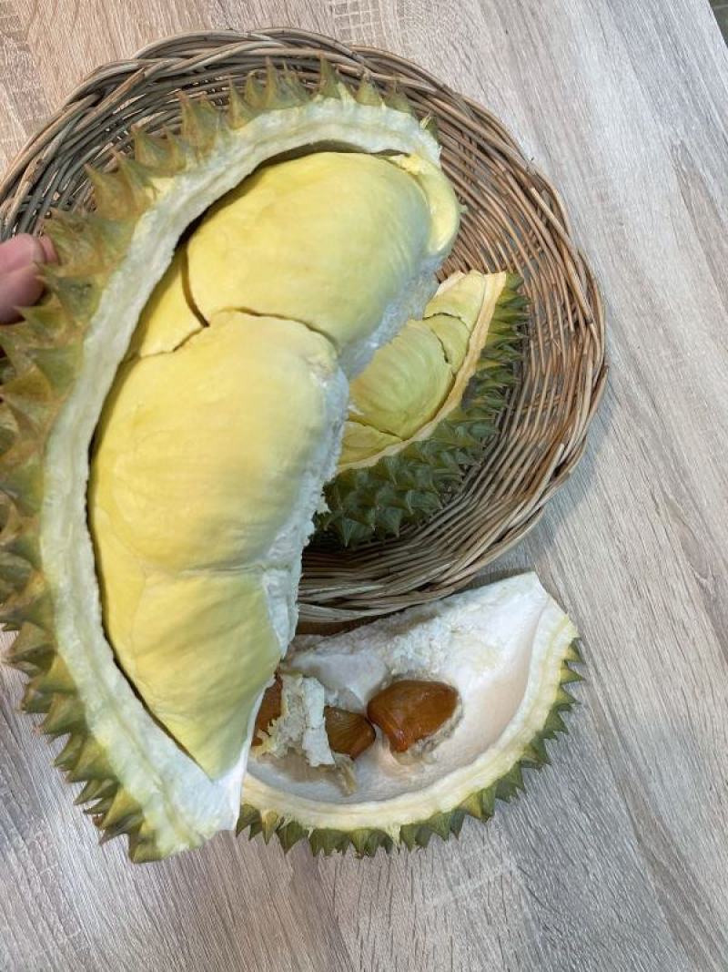 红沙土金枕头9kg2-3个505包邮