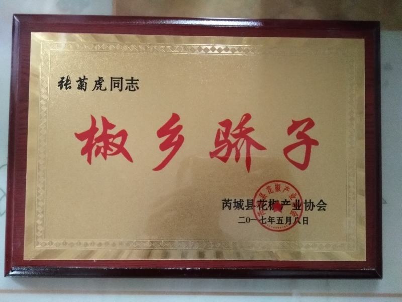 【包邮】新货大红袍狮子头花椒梅花椒，色红味嘛颗粒大