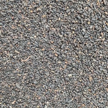 虫茶【包邮】三斤起发货可批量可零售量大从优