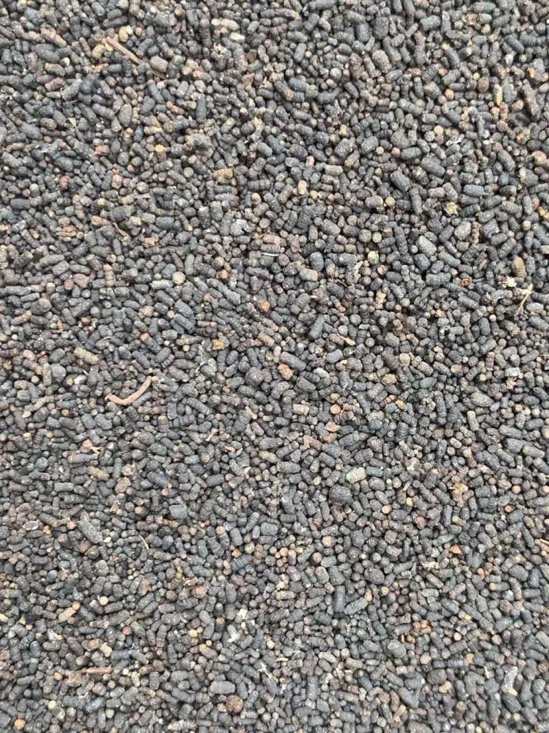 虫茶【包邮】三斤起发货可批量可零售量大从优