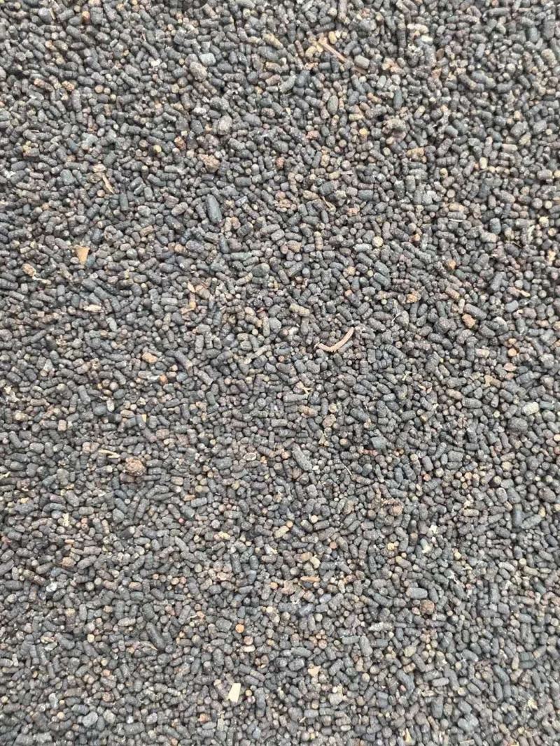 虫茶【包邮】三斤起发货可批量可零售量大从优