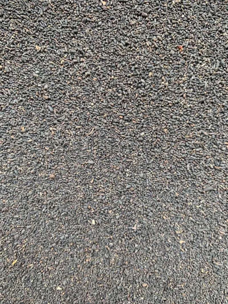 虫茶【包邮】三斤起发货可批量可零售量大从优