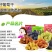 【一件代发】新疆特产新疆葡萄干吐鲁番葡萄干休闲零食包邮