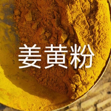 饲料姜黄粉