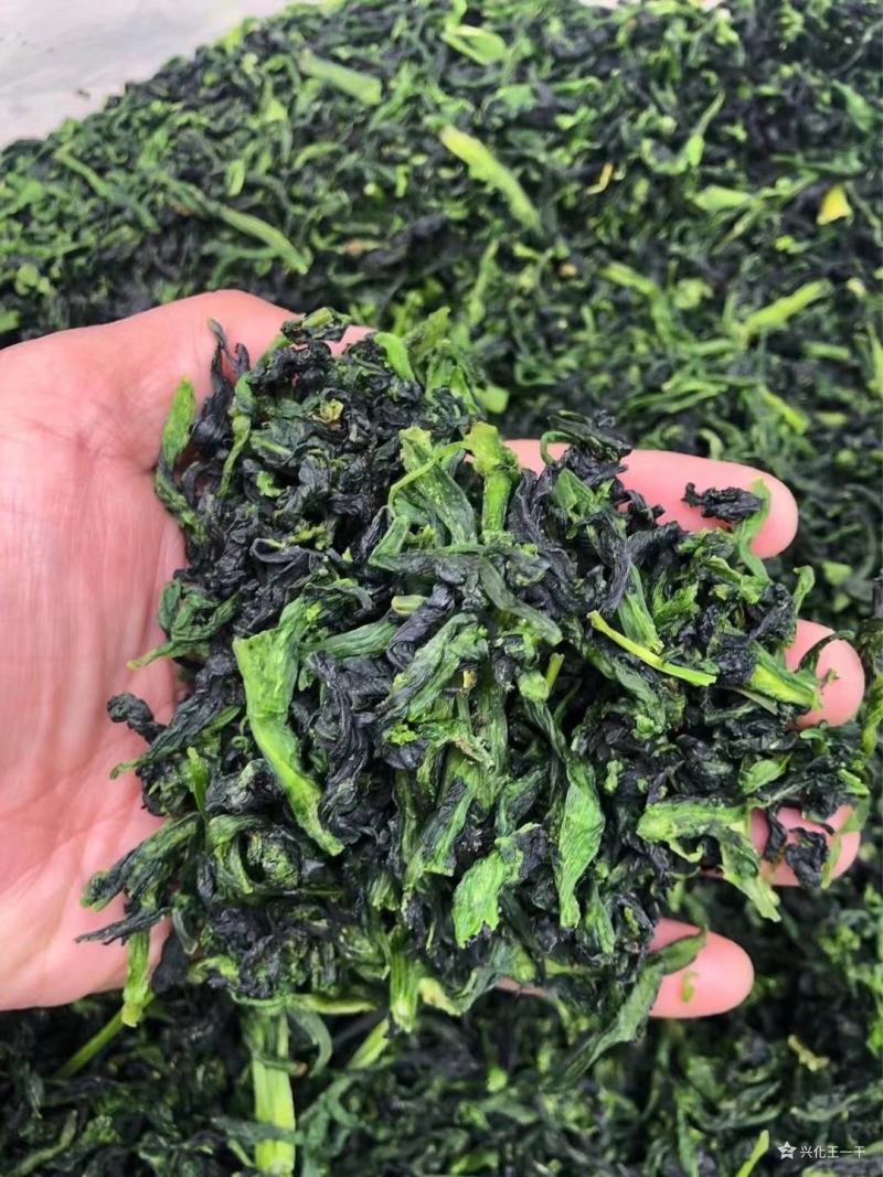 【脱水万年青】脱水万年青，源头厂家直发