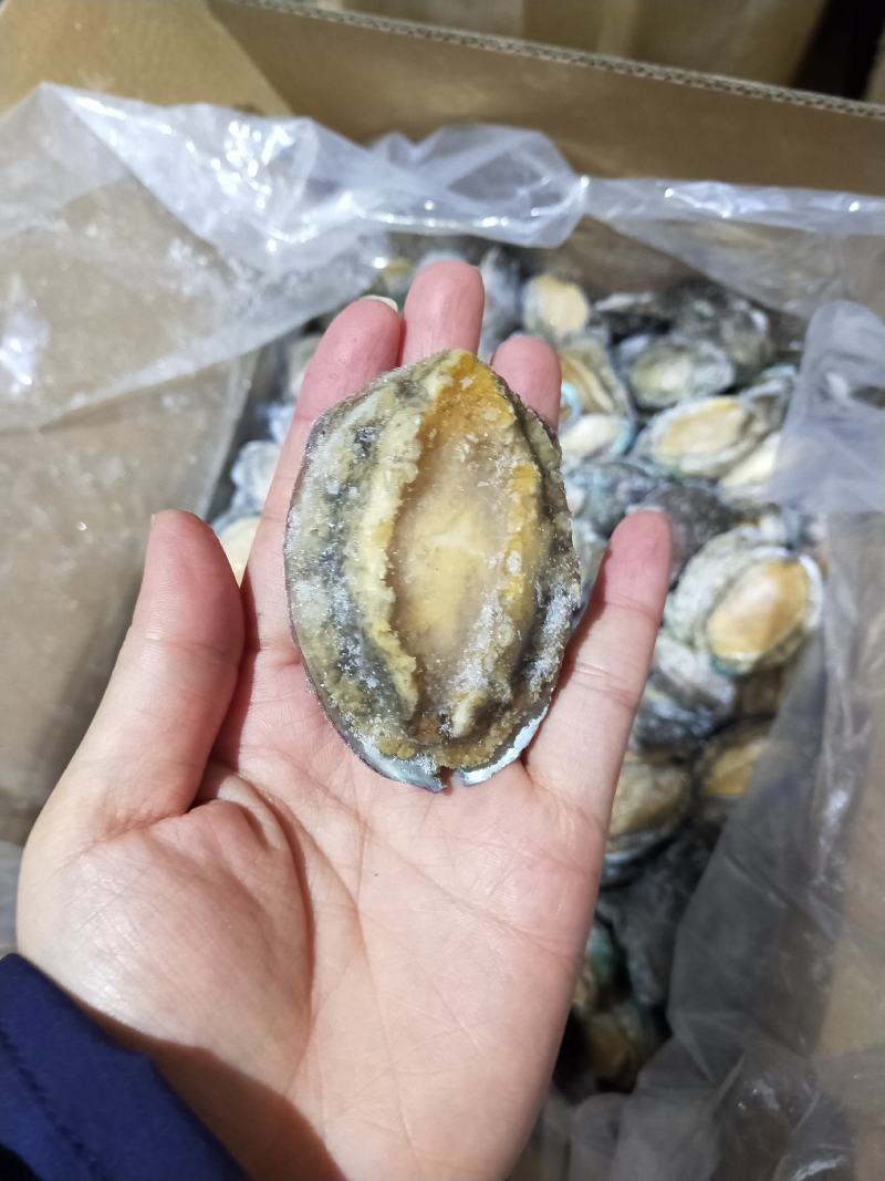 统货漂烫液氮单冻鲍鱼无冰衣不缩水