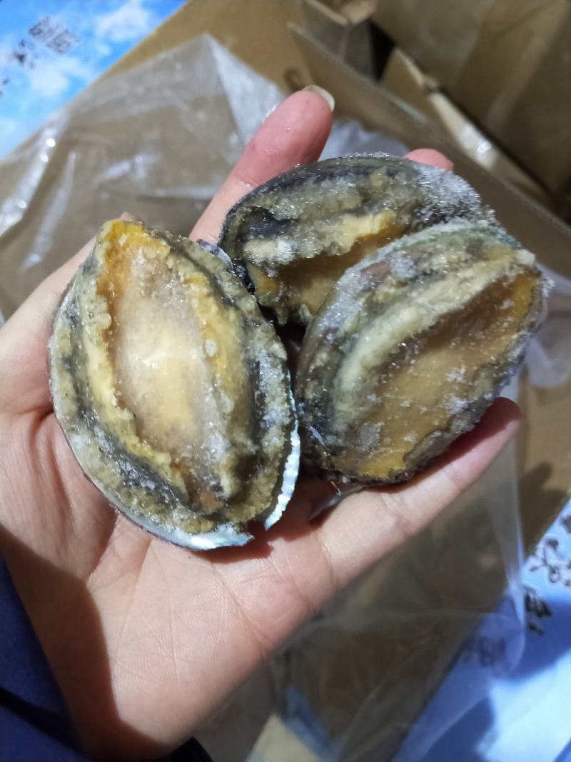 统货漂烫液氮单冻鲍鱼无冰衣不缩水