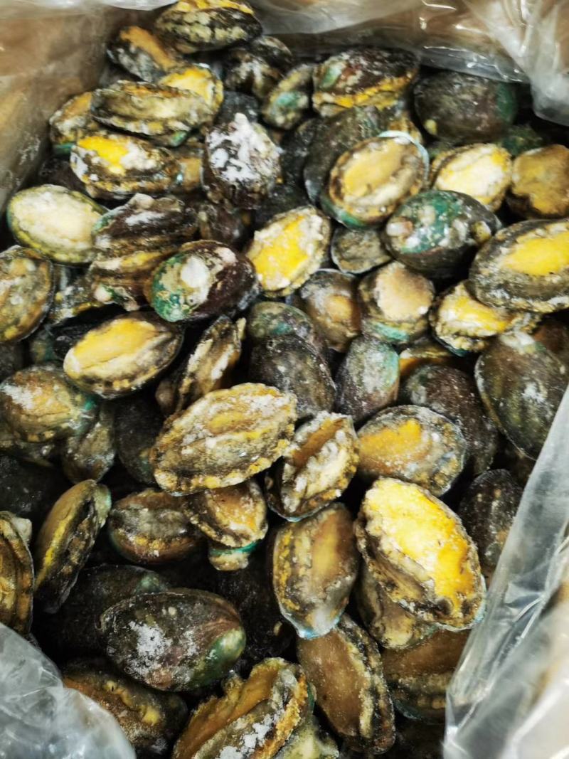 统货漂烫液氮单冻鲍鱼无冰衣不缩水