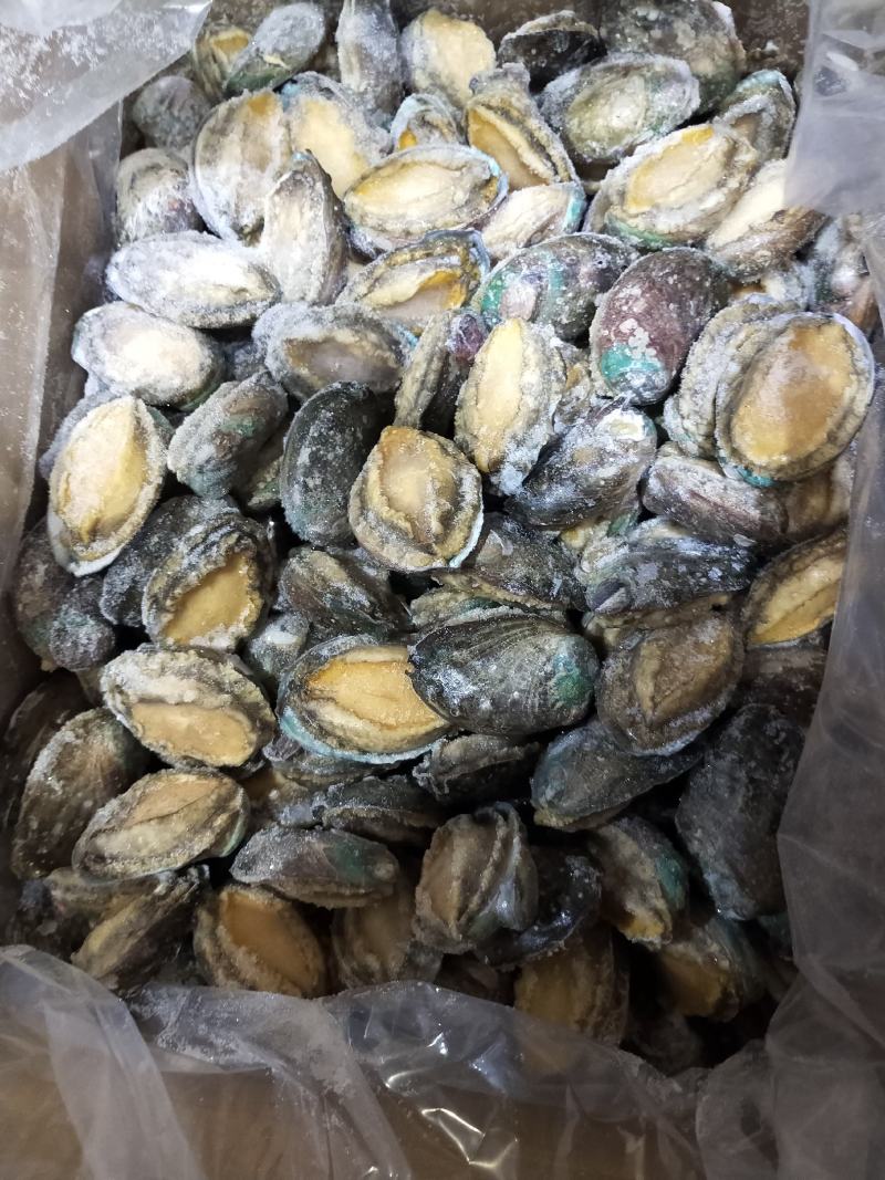 统货漂烫液氮单冻鲍鱼无冰衣不缩水