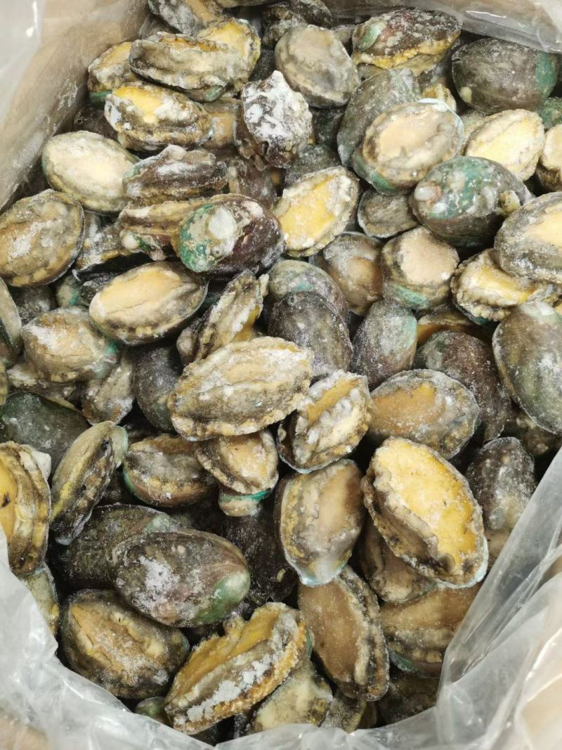 统货漂烫液氮单冻鲍鱼无冰衣不缩水