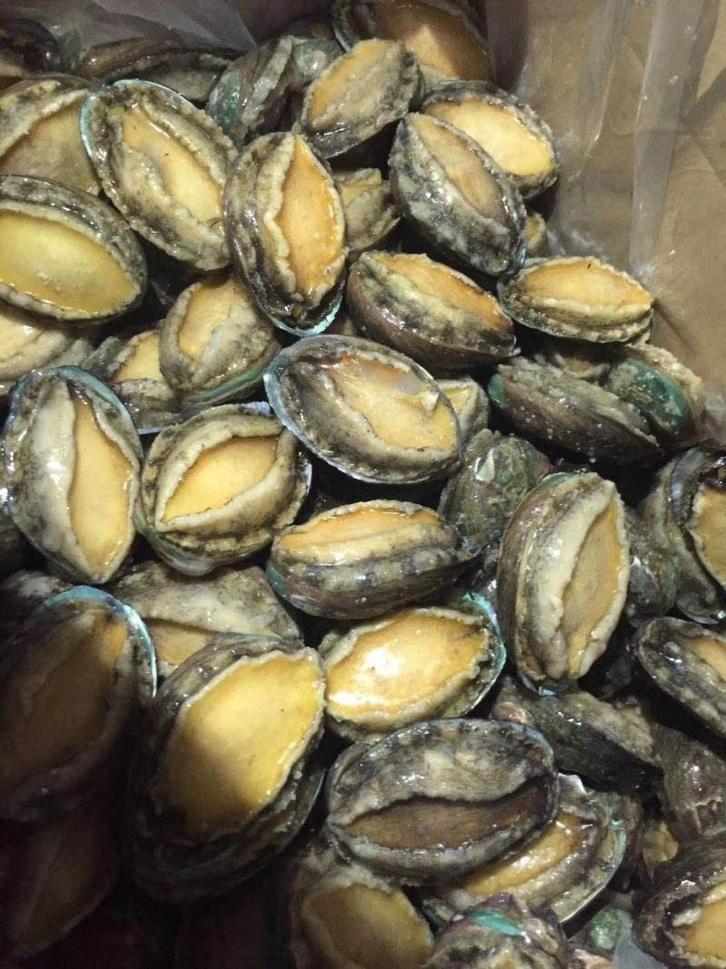 统货漂烫液氮单冻鲍鱼无冰衣不缩水