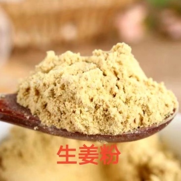 【脱水蔬菜】脱水蔬菜生姜粉，厂家直销