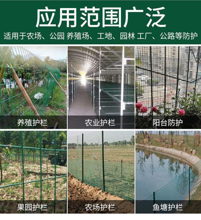 （赢丰收）荷兰网，护栏网，围栏网，果园网，鸡网隔离棚栏网