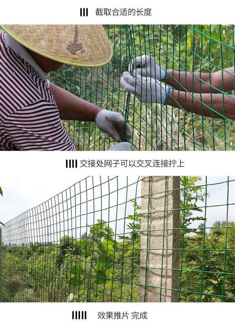 （赢丰收）荷兰网，护栏网，围栏网，果园网，鸡网隔离棚栏网