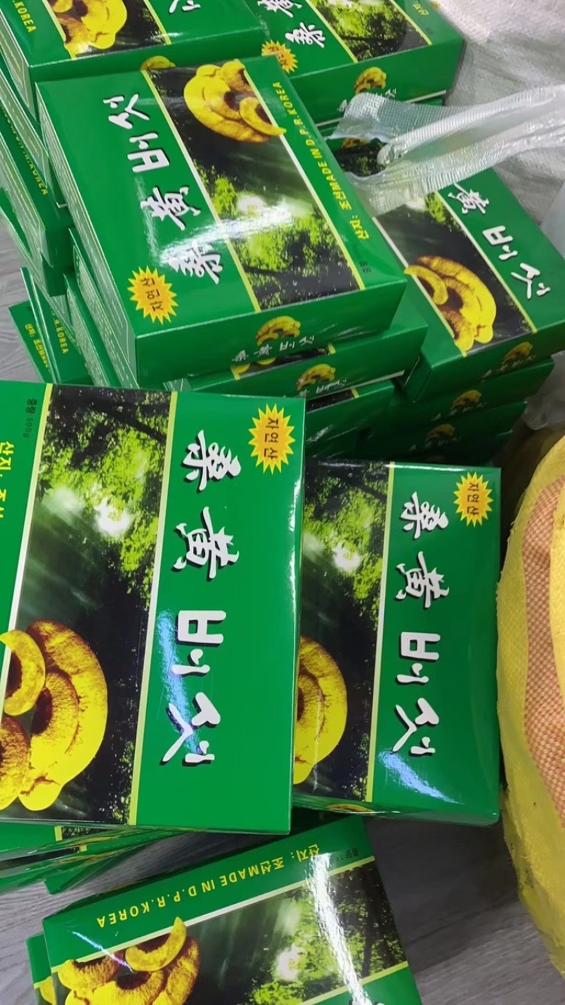 桑黄朝鲜盒装桑黄