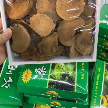 桑黄朝鲜盒装桑黄