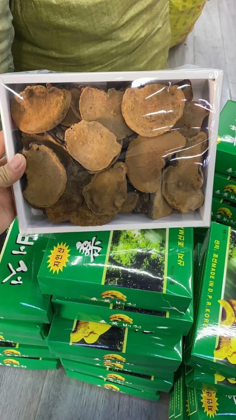 桑黄朝鲜盒装桑黄