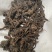 无硫磺回春草顶天柱蛇菰价格便宜