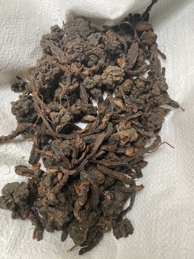 无硫磺回春草顶天柱蛇菰价格便宜