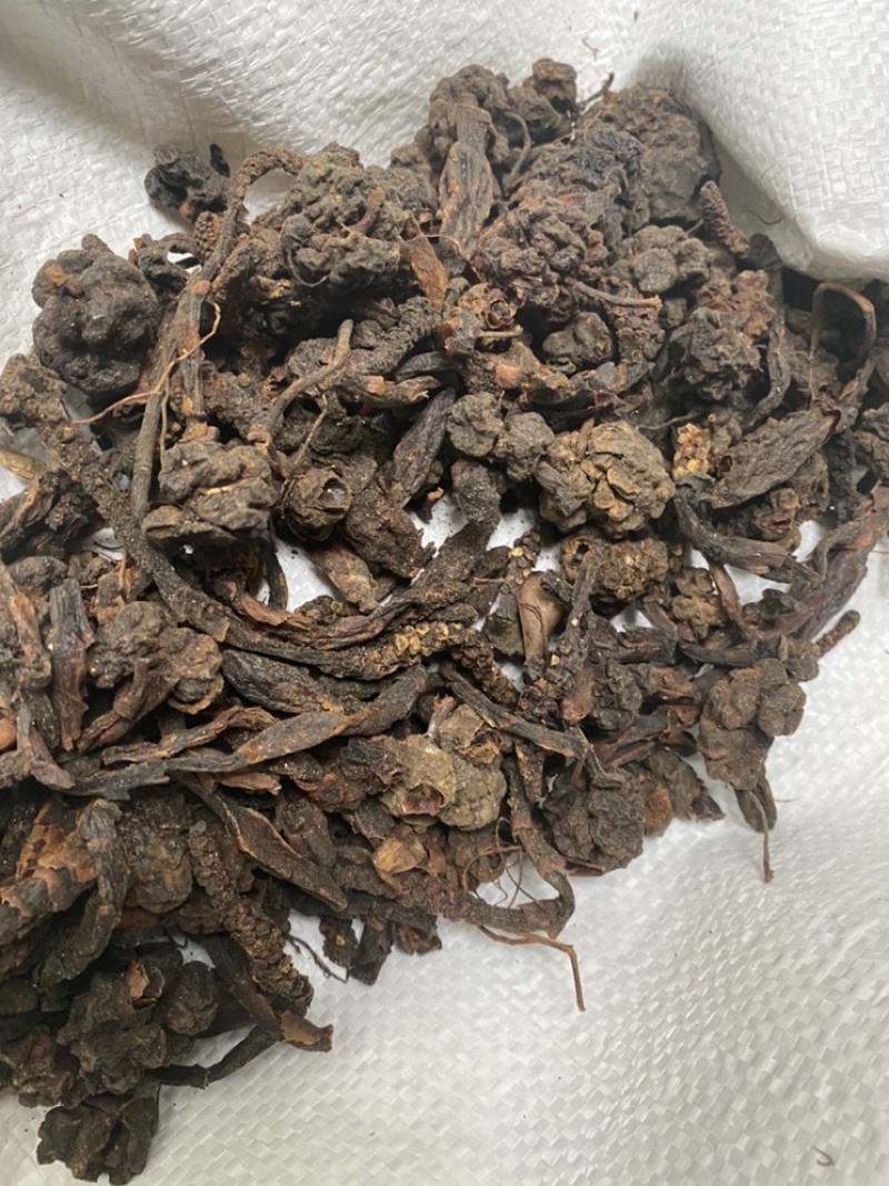 无硫磺回春草顶天柱蛇菰价格便宜