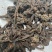 无硫磺回春草顶天柱蛇菰价格便宜