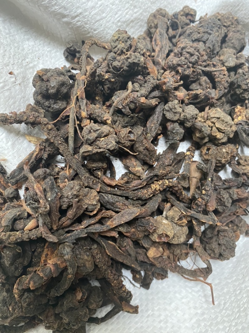 无硫磺回春草顶天柱蛇菰价格便宜