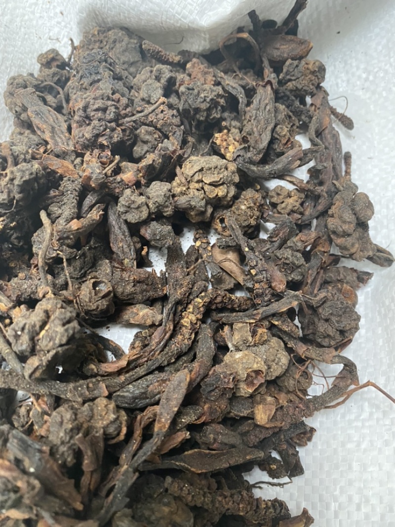 无硫磺回春草顶天柱蛇菰价格便宜