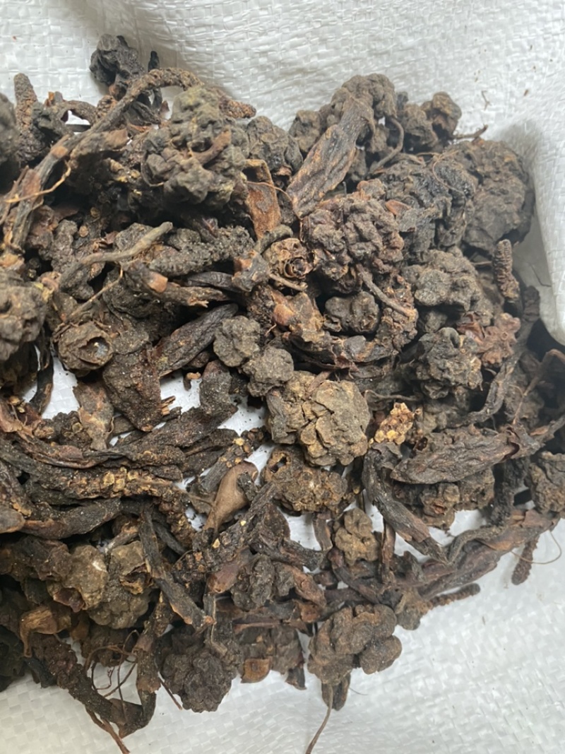 无硫磺回春草顶天柱蛇菰价格便宜
