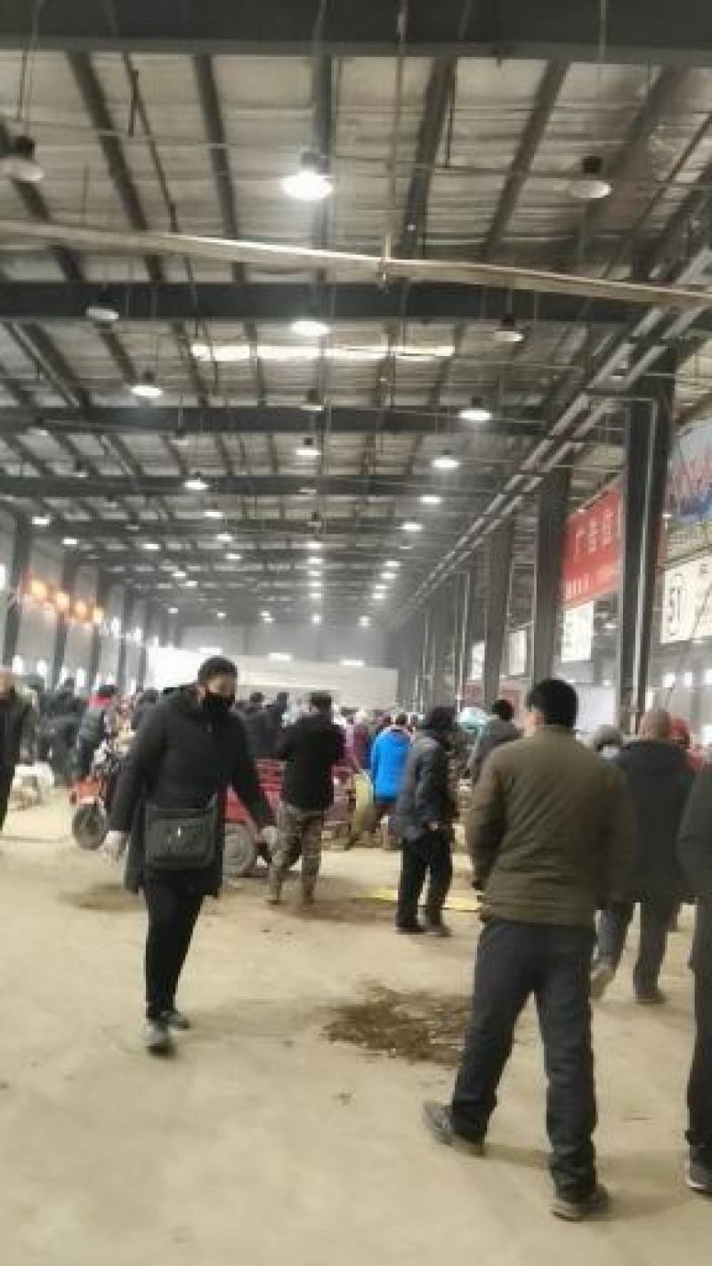 【西洋参】正宗公司自产自加工西洋参软硬支货