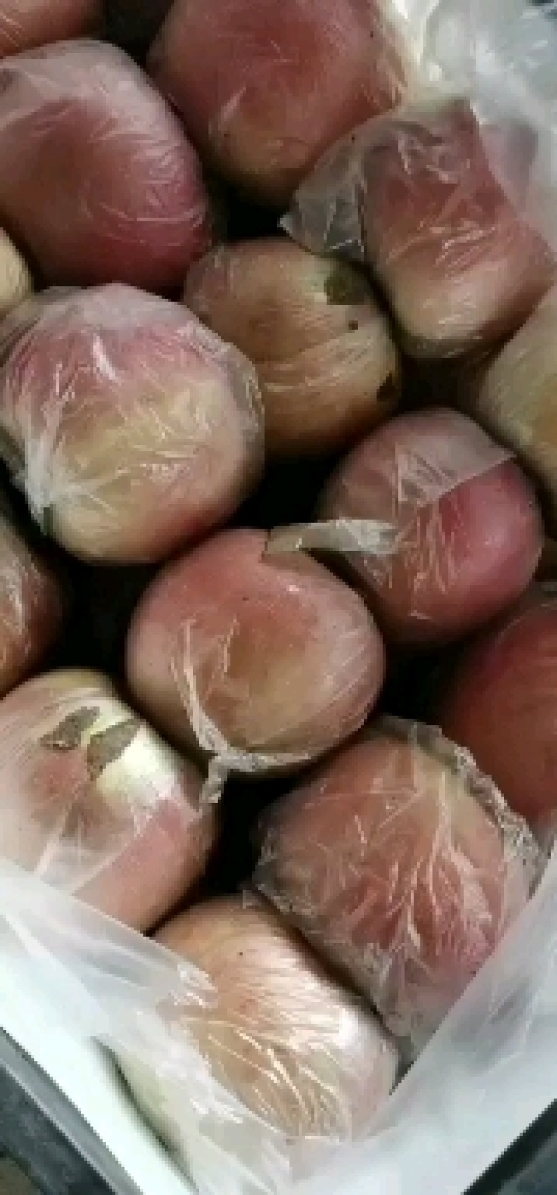 河南虞城富士苹果，口感賊甜，耐运输，欢迎新老客户前来