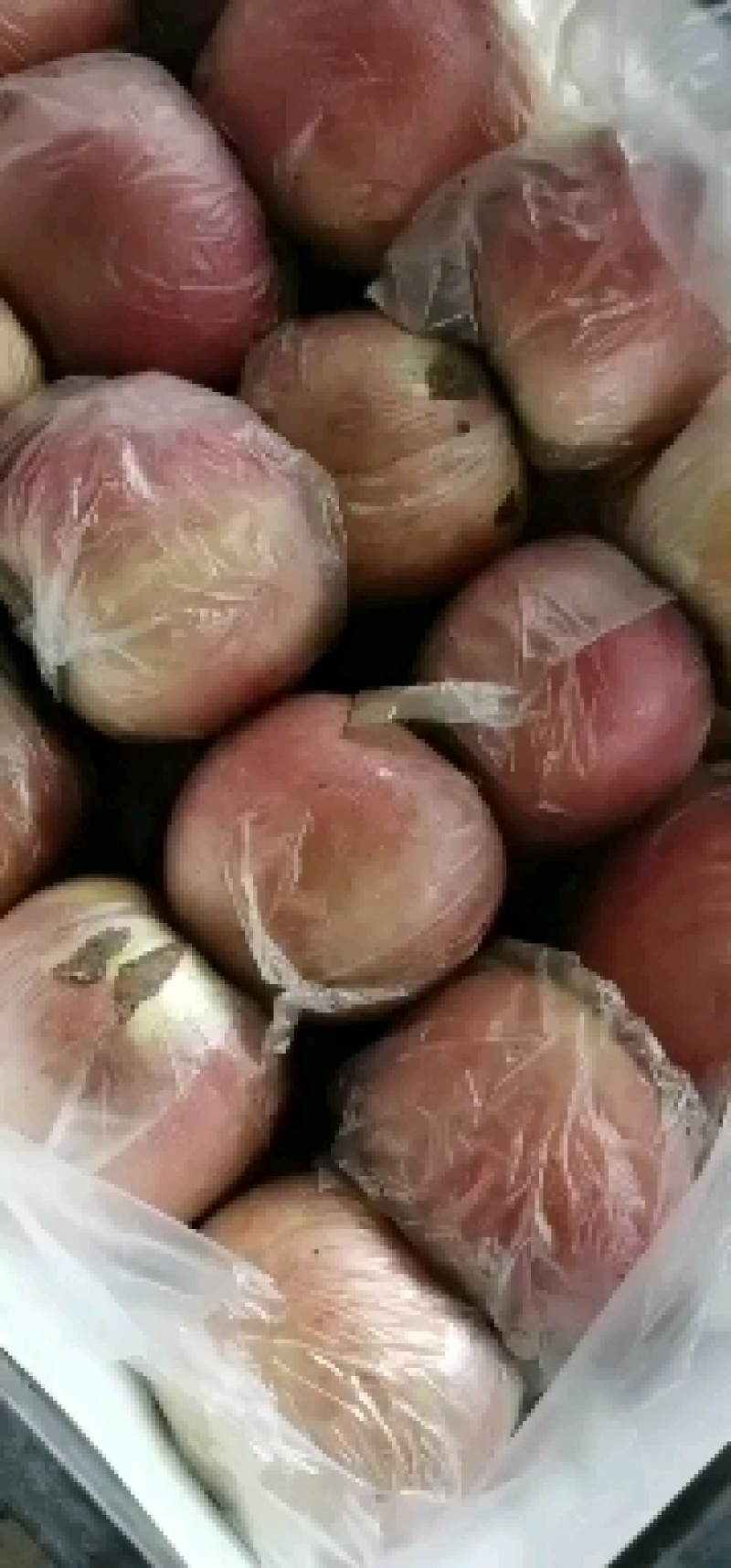 河南虞城富士苹果，口感賊甜，耐运输，欢迎新老客户前来