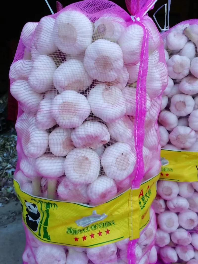 新鲜早蒜，扒皮蒜，土蒜