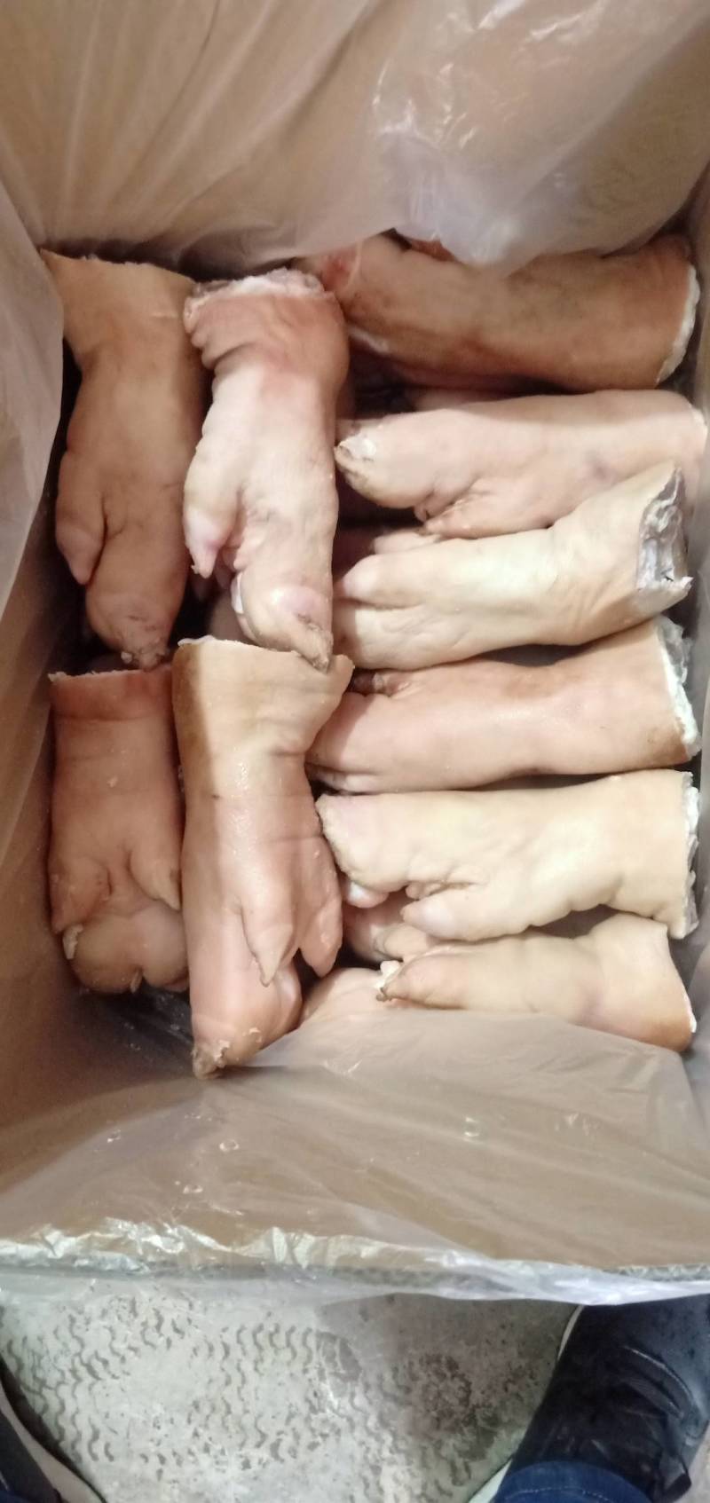 猪蹄，国产猪前蹄一件代发量大从优，感兴趣欢迎各位们光临！