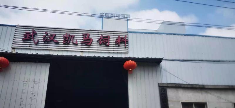 武汉凯马万湖小龙虾膨化沉性饲料，厂家销售！