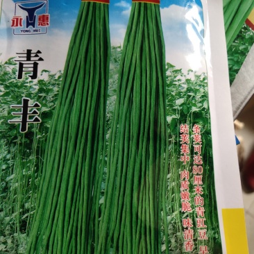 早中熟青豆角耐热耐湿抗病能力强，生长势强长达80厘米