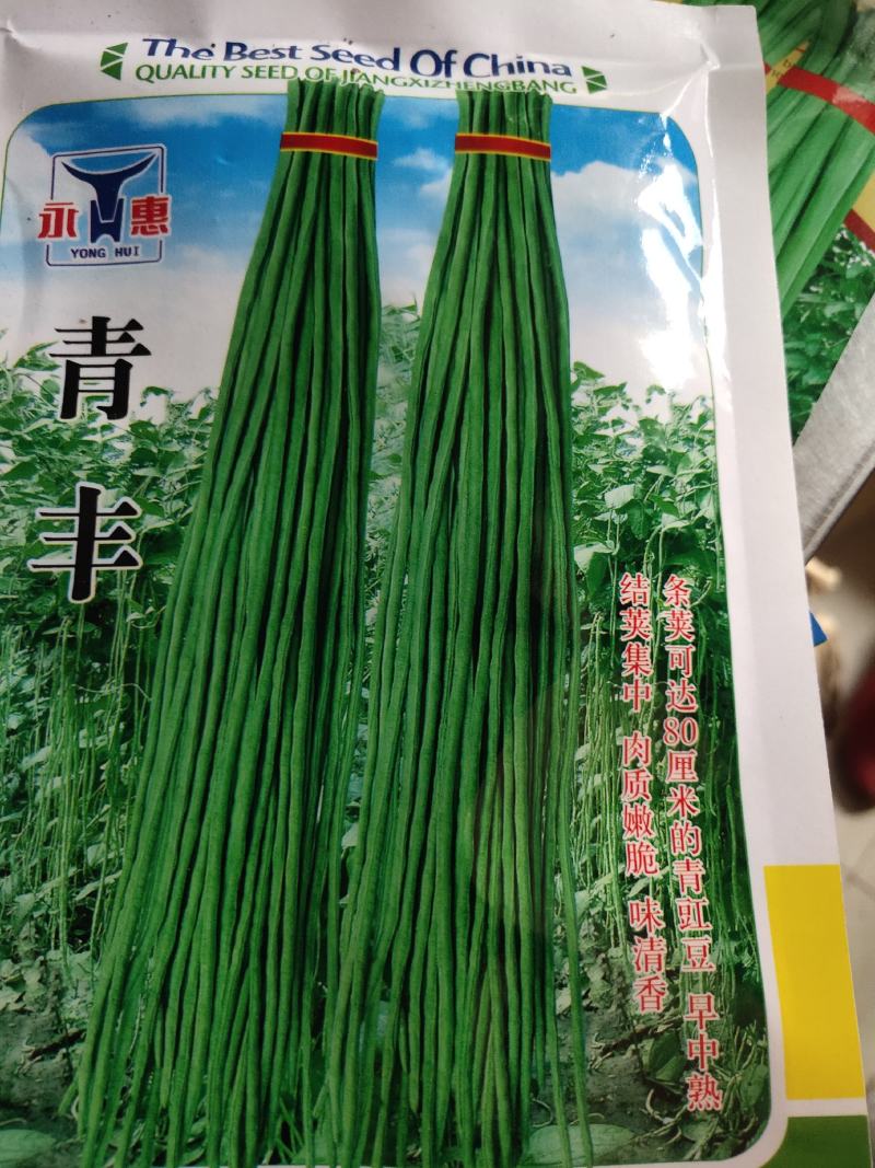早中熟青豆角耐热耐湿抗病能力强，生长势强长达80厘米
