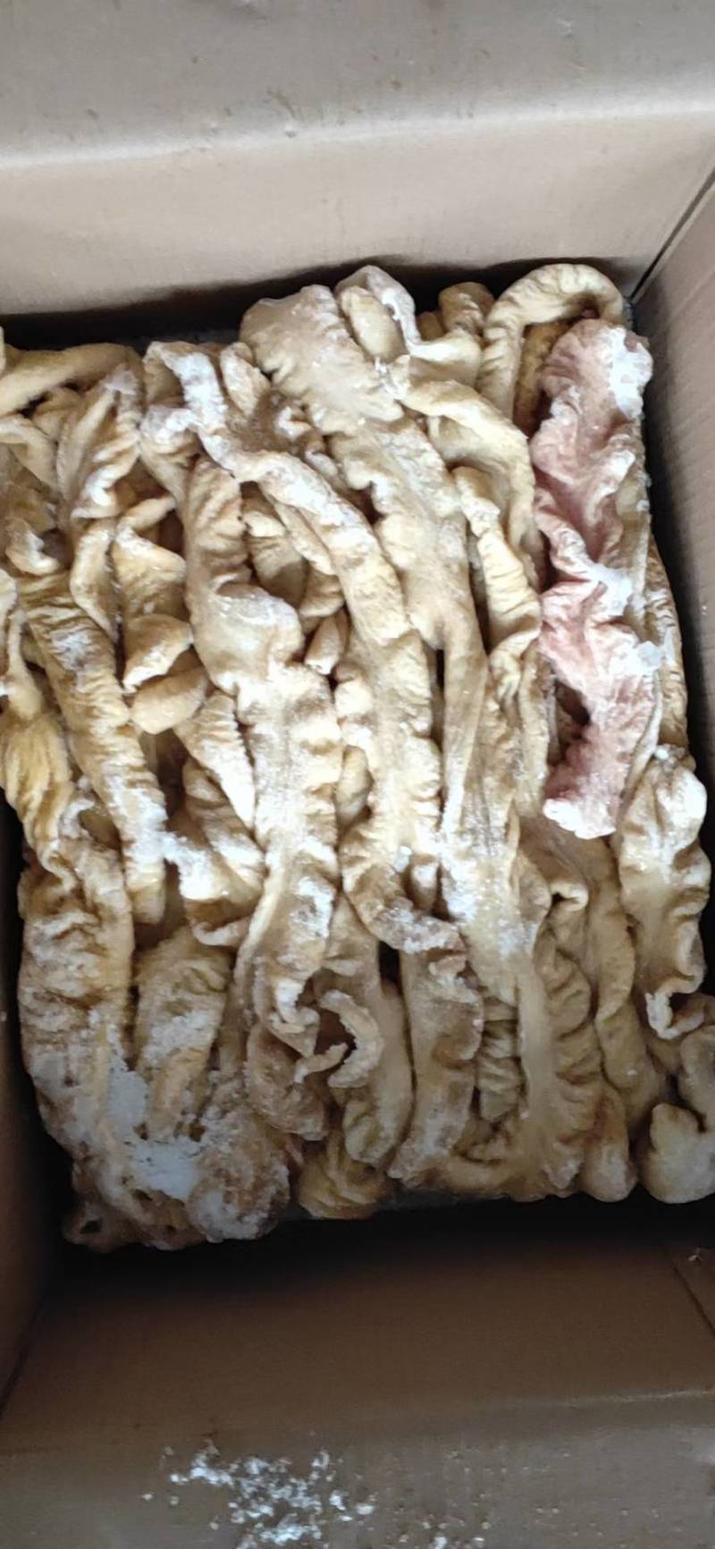 猪大肠，预煮猪大肠，量大从优，欢迎各位光临！