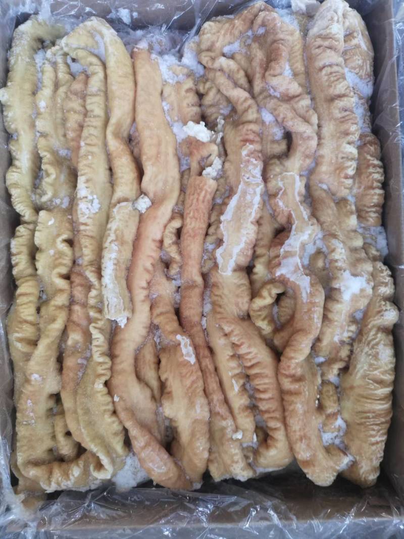 猪大肠，预煮猪大肠，量大从优，欢迎各位光临！