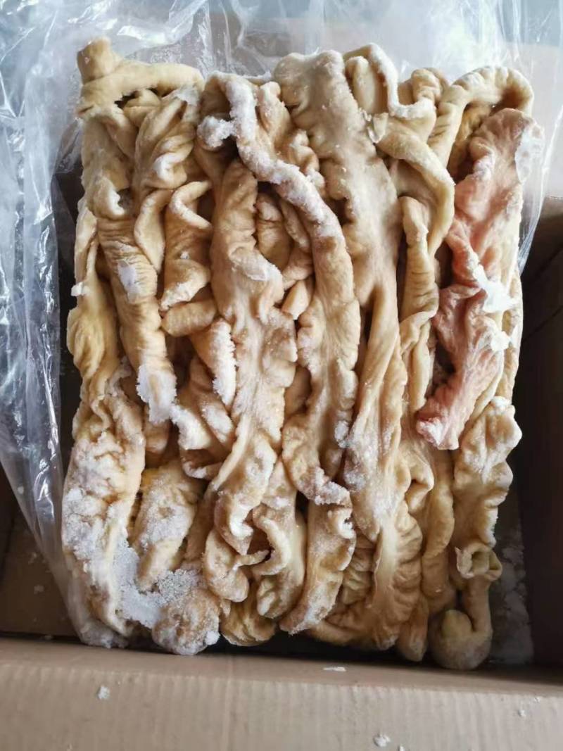 猪大肠，预煮猪大肠，量大从优，欢迎各位光临！