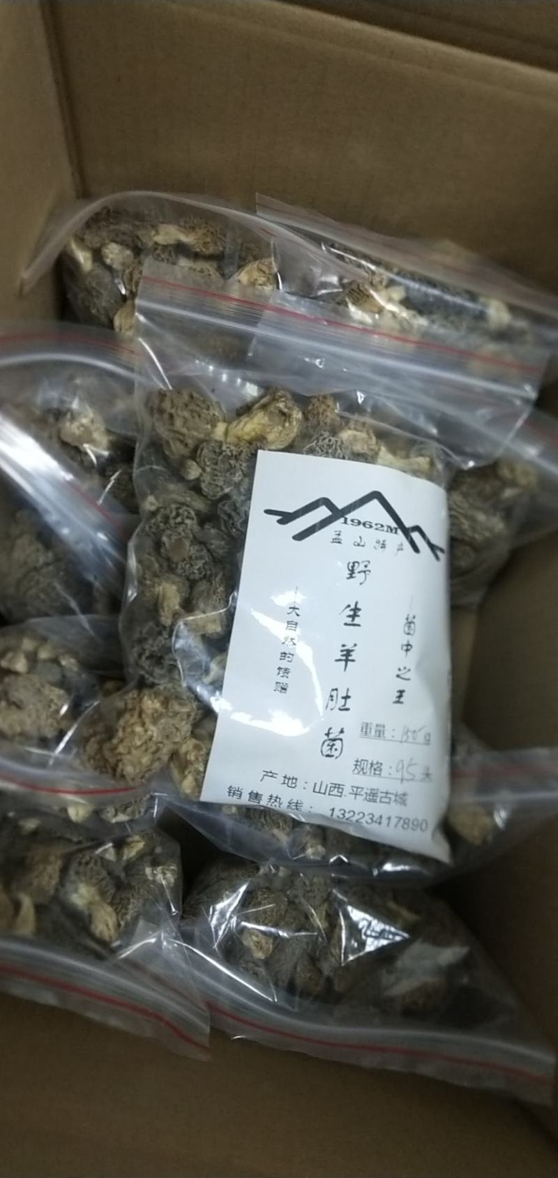 羊肚菌
