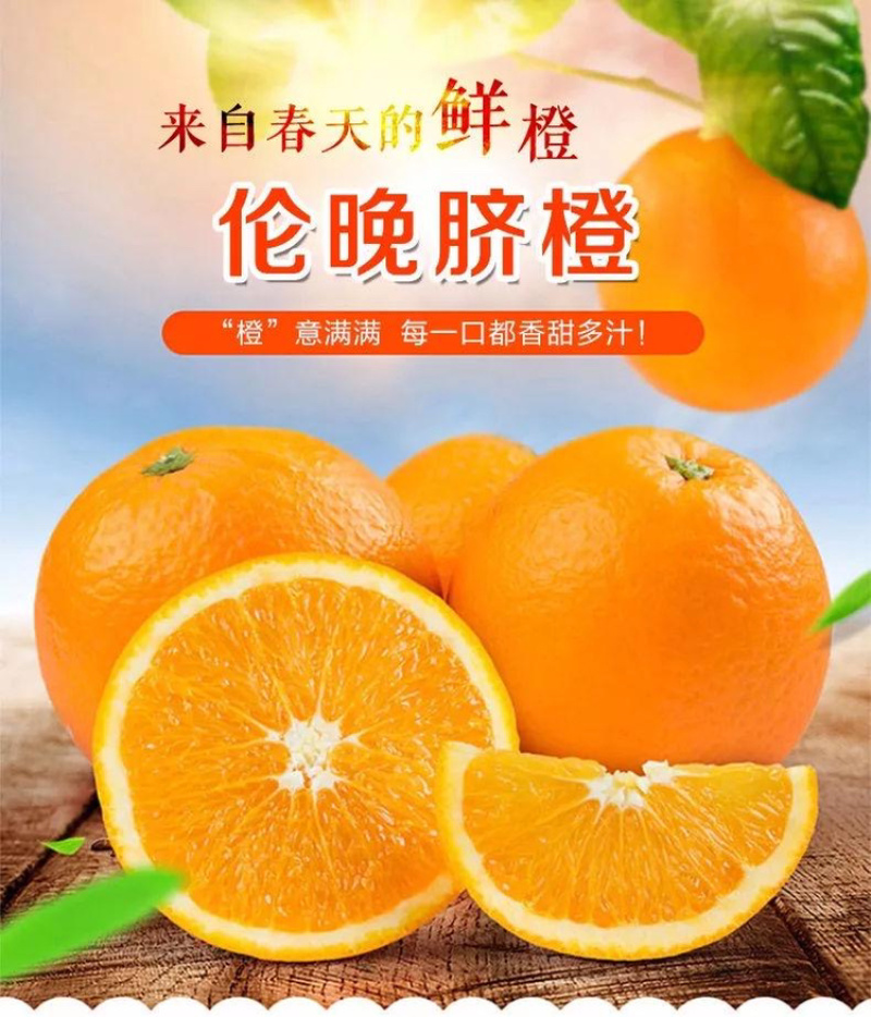 秭归伦晚脐橙，一手货源，产地直供，诚信经营，橙子
