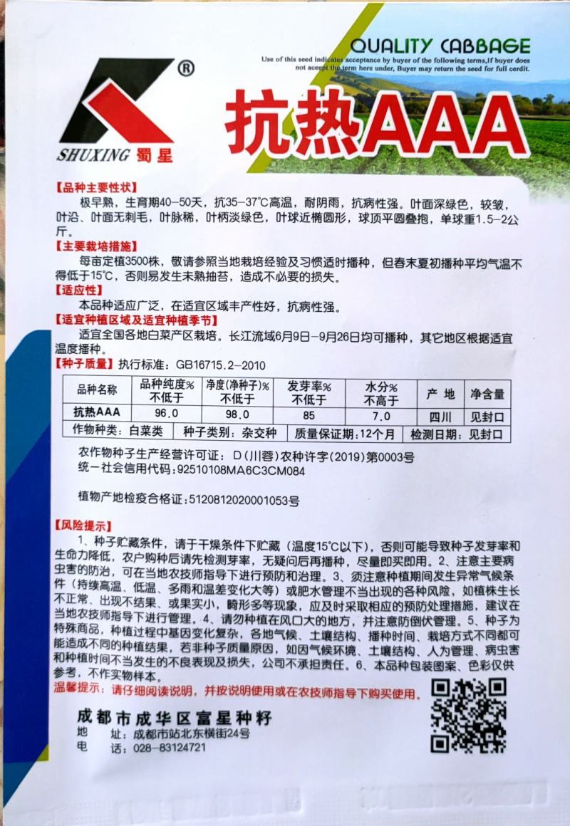 耐热白菜种子夏阳白种子夏阳白白种子耐40度高温