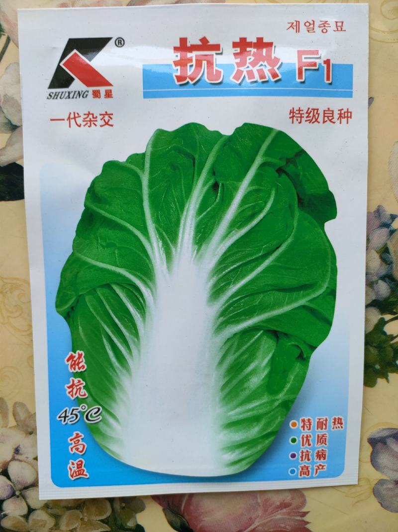 耐热白菜种子夏阳白种子夏阳白白种子耐40度高温