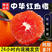 中华红橙血橙秭归脐橙香甜可口汁水充足欢迎采购