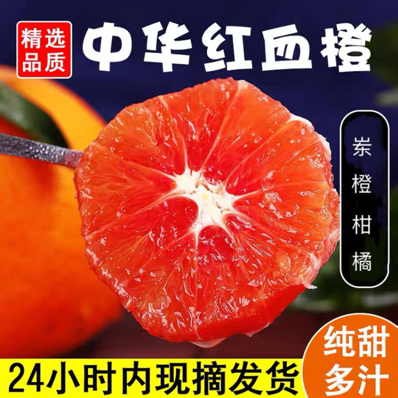 中华红橙血橙秭归脐橙香甜可口汁水充足欢迎采购
